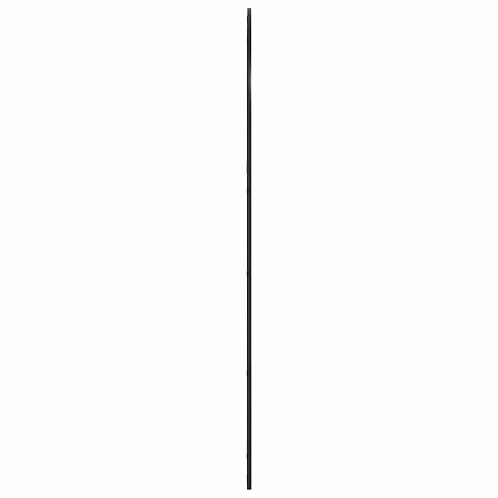 Wandspiegel boog 100x150 cm ijzer zwart